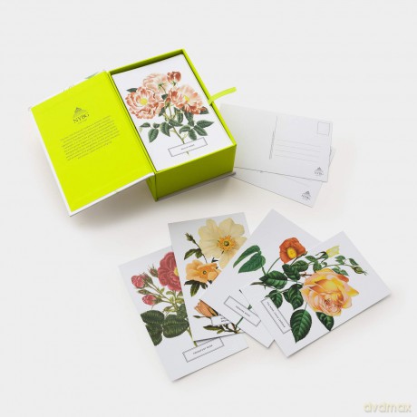 Roses: 100 Postcards from the Archives of The New York Botanical Garden - The New York Botanical Garden [KSIĄŻKA]