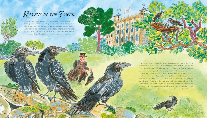 Royal Animals: A gorgeously illustrated history with a foreword by Sir Michael Morpurgo - Julia Golding [KSIĄŻKA]
