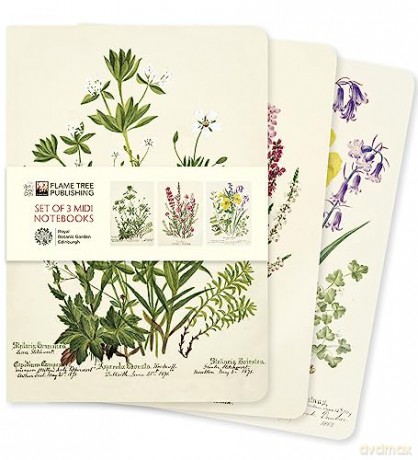 Royal Botanic Garden Edinburgh Set of 3 Midi Notebooks (Midi Notebook Collections) - Flame Tree Studio [KSIĄŻKA]