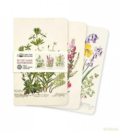 Royal Botanic Garden Edinburgh Set of 3 Mini Notebooks (Mini Notebook Collections) - Flame Tree Studio [KSIĄŻKA]