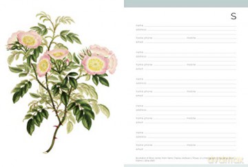 Royal Horticultural Society Desk Address Book - Royal Horticultural Society [KSIĄŻKA]