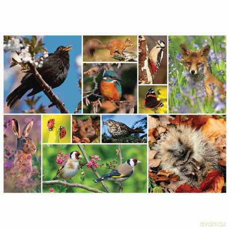 RSPB - Great British Wildlife 1000 Piece Jigsaw [PUZZLE]