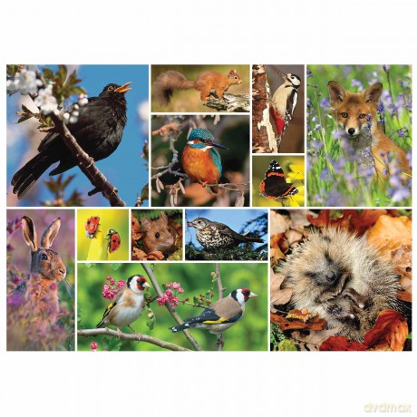 RSPB - Great British Wildlife 1000 Piece Jigsaw [PUZZLE]