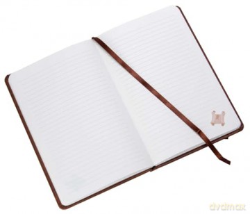RuneScape Hardcover Journal - Insight Editions [KSIĄŻKA]