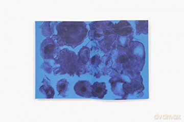 Ruth Asawa: The Journal (The Artist Journals) - Ruth Asawa [KSIĄŻKA]
