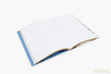 Ruth Asawa: The Journal (The Artist Journals) - Ruth Asawa [KSIĄŻKA]