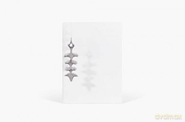 Ruth Asawa: The Journal (The Artist Journals) - Ruth Asawa [KSIĄŻKA]