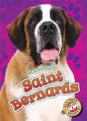 Saint Bernards (Awesome Dogs) - Nathan Sommer [KSIĄŻKA]