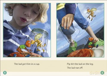 Sam Set 1 (Dandelion Readers) - Phonic Books [KSIĄŻKA]