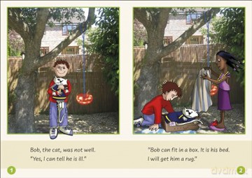 Sam Set 1 (Dandelion Readers) - Phonic Books [KSIĄŻKA]