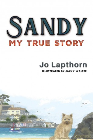 Sandy: My True Story - Jo Lapthorn [KSIĄŻKA]