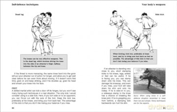 SAS and Special Forces Self Defence: A Complete Guide to Unarmed Combat Techniques (Mini Encyclopedia) - John 'Lofty' Wiseman [KSIĄŻKA]