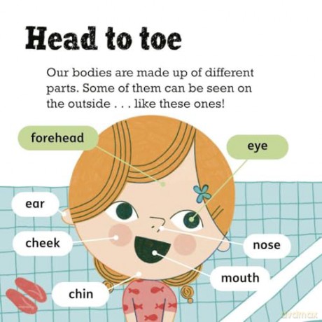 Science Words for Little People: Our Bodies - Helen Mortimer [KSIĄŻKA]
