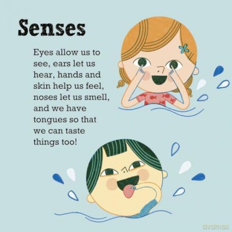 Science Words for Little People: Our Bodies - Helen Mortimer [KSIĄŻKA]