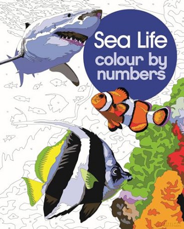Sea Life Colour by Numbers (Arcturus Colour by Numbers Collection) - David Woodroffe [KSIĄŻKA]