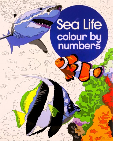 Sea Life Colour by Numbers (Arcturus Colour by Numbers Collection) - David Woodroffe [KSIĄŻKA]