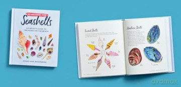 Searching for Seashells: An Artist's Guide to Treasures on the Beach - Jessie King Regunberg [KSIĄŻKA]