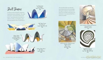 Searching for Seashells: An Artist's Guide to Treasures on the Beach - Jessie King Regunberg [KSIĄŻKA]