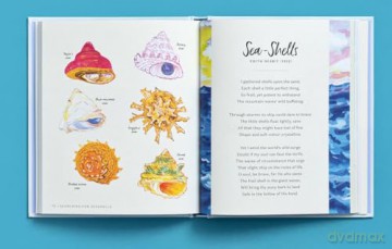 Searching for Seashells: An Artist's Guide to Treasures on the Beach - Jessie King Regunberg [KSIĄŻKA]
