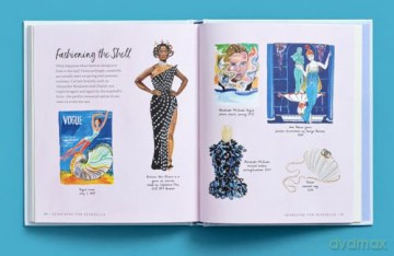 Searching for Seashells: An Artist's Guide to Treasures on the Beach - Jessie King Regunberg [KSIĄŻKA]