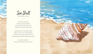 Searching for Seashells: An Artist's Guide to Treasures on the Beach - Jessie King Regunberg [KSIĄŻKA]