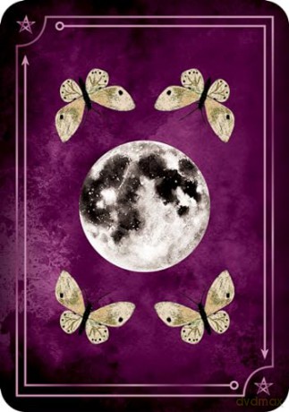 Seasons of the Witch - Litha Oracle - Lorriane Anderson [KSIĄŻKA]