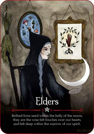 Seasons of the Witch: Samhain Oracle: Harness the intuitive power of the year's most magical night - Lorriane Anderson [KSIĄŻKA]