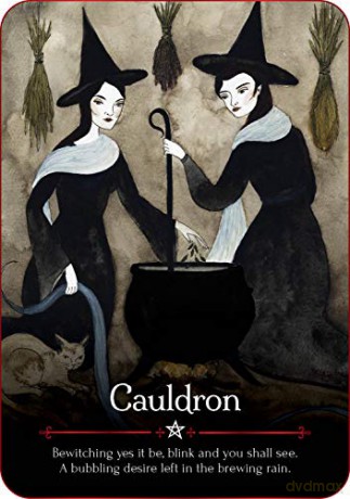 Seasons of the Witch: Samhain Oracle: Harness the intuitive power of the year's most magical night - Lorriane Anderson [KSIĄŻKA]