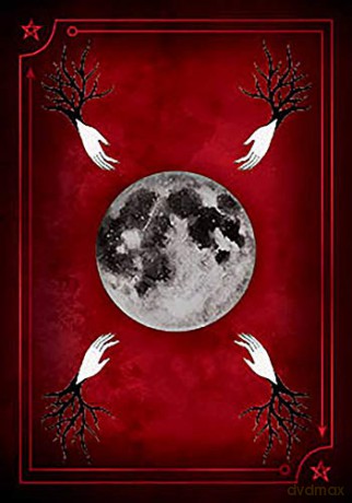 Seasons of the Witch: Samhain Oracle: Harness the intuitive power of the year's most magical night - Lorriane Anderson [KSIĄŻKA]
