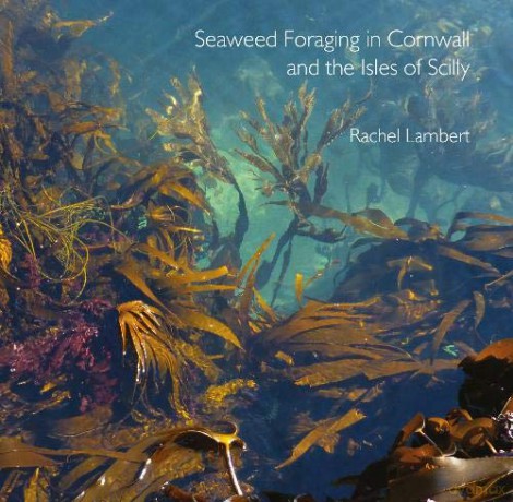 Seaweed Foraging in Cornwall and the Isles of Scilly (Pocket Cornwall) [KSIĄŻKA]