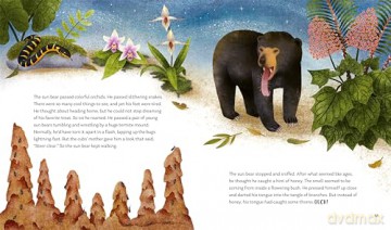 Secrets of the Forest: 15 Bedtime Stories Inspired by Nature (Nature Bedtime Stories) - Alicia Klepeis [KSIĄŻKA]