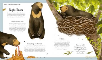Secrets of the Forest: 15 Bedtime Stories Inspired by Nature (Nature Bedtime Stories) - Alicia Klepeis [KSIĄŻKA]