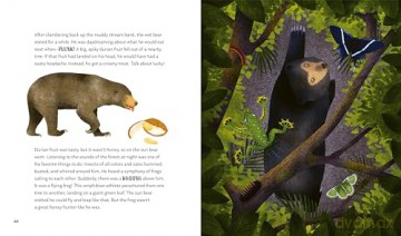 Secrets of the Forest: 15 Bedtime Stories Inspired by Nature (Nature Bedtime Stories) - Alicia Klepeis [KSIĄŻKA]