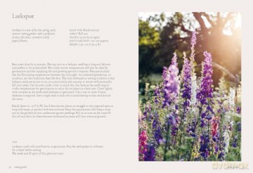 Seeds: Grow Your Own Cut Flowers from Scratch (The Grower's Guide) - Milli Proust [KSIĄŻKA]