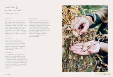 Seeds: Grow Your Own Cut Flowers from Scratch (The Grower's Guide) - Milli Proust [KSIĄŻKA]