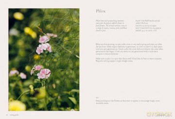 Seeds: Grow Your Own Cut Flowers from Scratch (The Grower's Guide) - Milli Proust [KSIĄŻKA]
