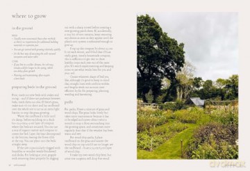 Seeds: Grow Your Own Cut Flowers from Scratch (The Grower's Guide) - Milli Proust [KSIĄŻKA]
