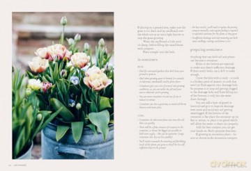 Seeds: Grow Your Own Cut Flowers from Scratch (The Grower's Guide) - Milli Proust [KSIĄŻKA]