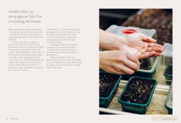 Seeds: Grow Your Own Cut Flowers from Scratch (The Grower's Guide) - Milli Proust [KSIĄŻKA]