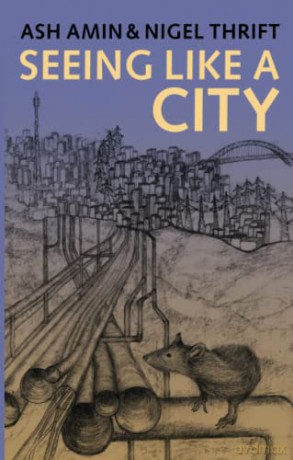 Seeing Like a City - Ash Amin [KSIĄŻKA]
