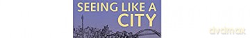 Seeing Like a City - Ash Amin [KSIĄŻKA]