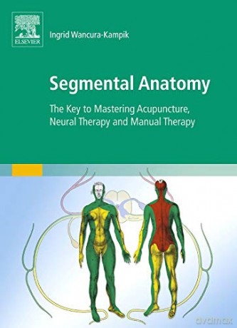 Segmental Anatomy,: The Key to Mastering Acupuncture, Neural Therapy and Manual Therapy - Ingrid Wancura-Kampik [KSIĄŻKA]
