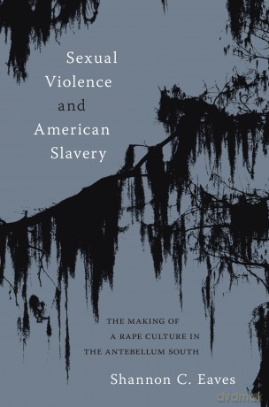 Sexual Violence and American Slavery: The Making of a Rape Culture in the Antebellum South [KSIĄŻKA]