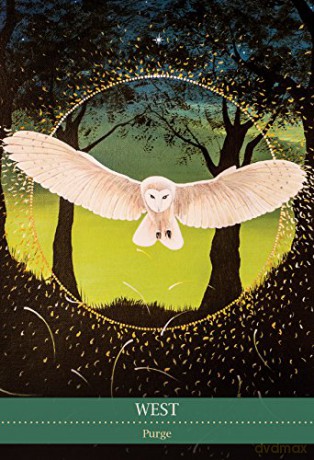Shamanic Medicine Oracle Cards - Barbara Meiklejohn-Free [KSIĄŻKA]