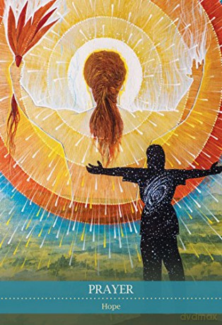 Shamanic Medicine Oracle Cards - Barbara Meiklejohn-Free [KSIĄŻKA]