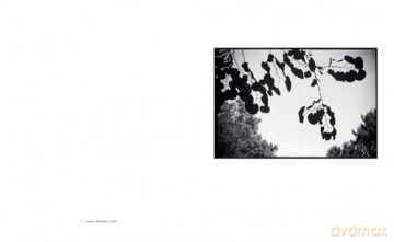 Shape, Ground, Shadow: The Photographs of Ellsworth Kelly - Ellsworth Kelly [KSIĄŻKA]