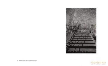 Shape, Ground, Shadow: The Photographs of Ellsworth Kelly - Ellsworth Kelly [KSIĄŻKA]