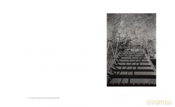 Shape, Ground, Shadow: The Photographs of Ellsworth Kelly - Ellsworth Kelly [KSIĄŻKA]
