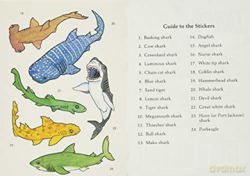 Shark Stickers (Little Activity Books) - Michellejoy Hughes [KSIĄŻKA]