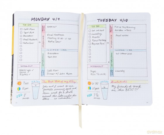 Shine Bright Productivity Journal - Chronicle Books [KALENDARZ]
